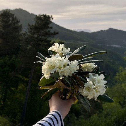 Фарида