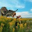 Олег