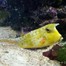 Мария